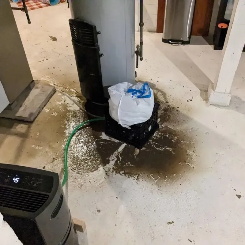 Sewage Backup Cleanup Service in Fayette, OH